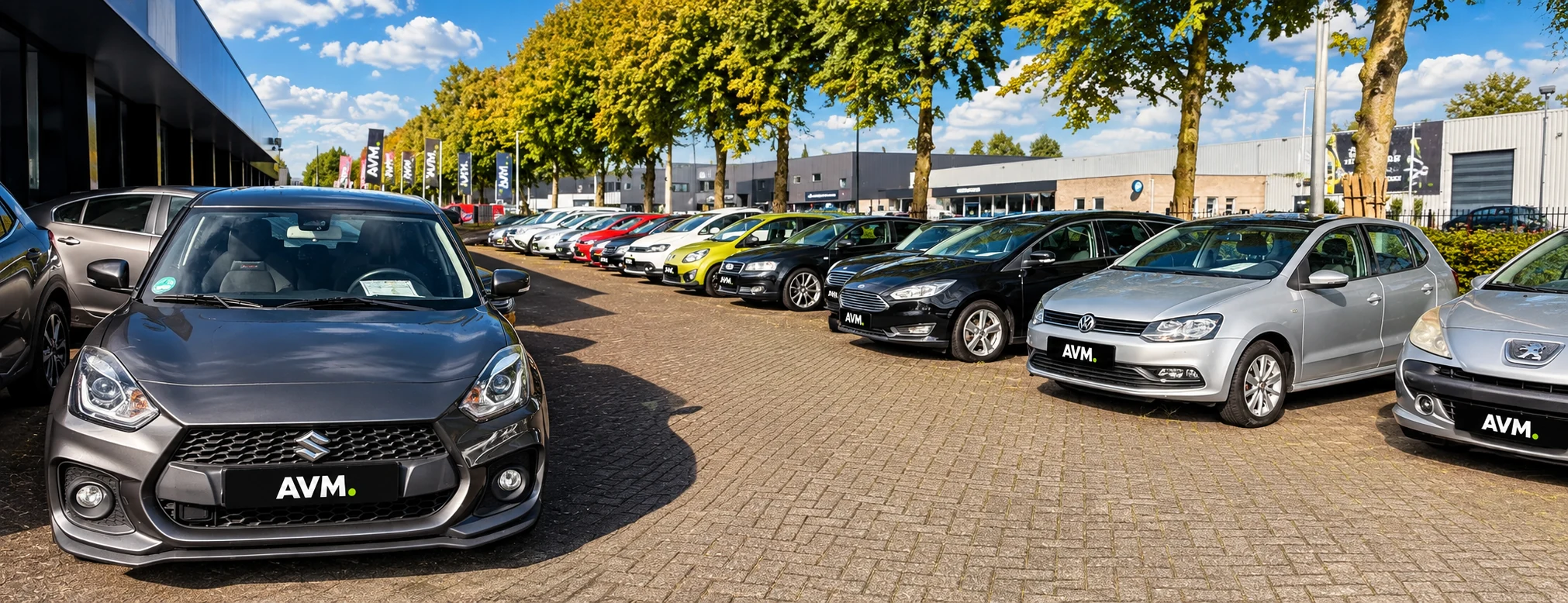 Voertuigen van AVM Auto Verkoop Makelaar, voorzien van AVM-kentekenplaten